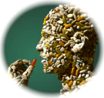 Screen shot 2015-01-31 at 5.05.22 PM_2