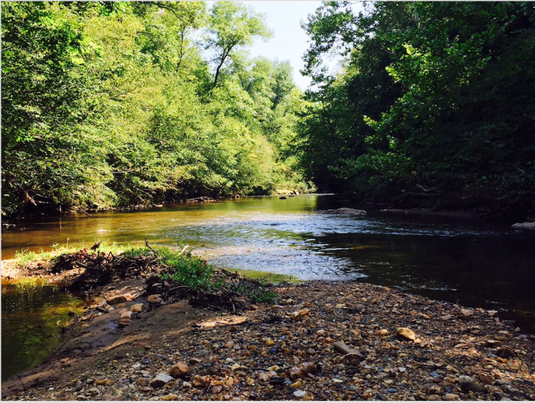 Screen Shot 2015-08-17 at 3.01.19 PM