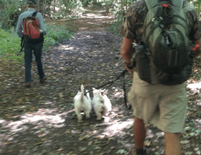 screen-shot-2016-09-27-at-4-52-26-pm